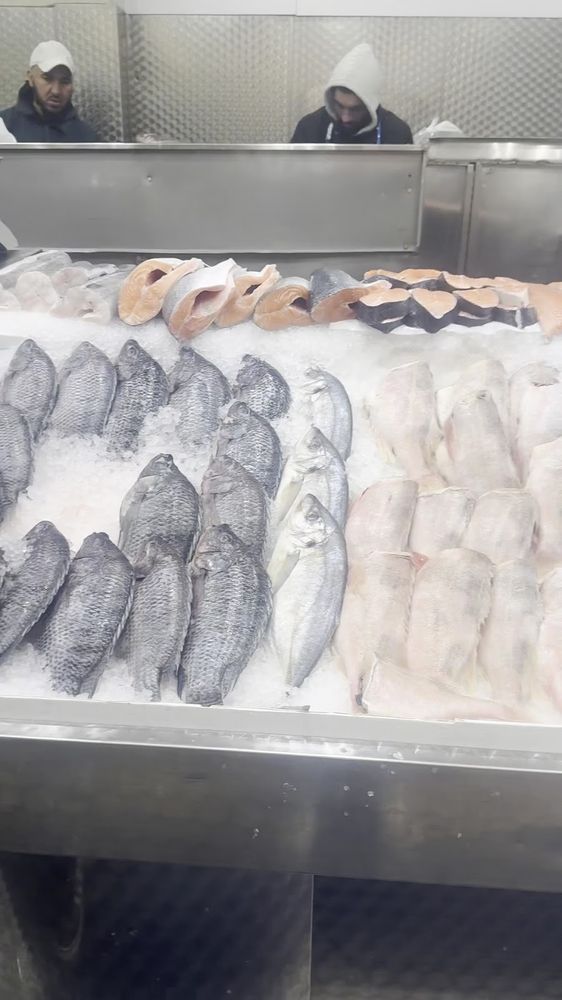 The wet fish counter at Ranya Fresh Fish, whole fish and cut steaks laid out on crushed ice with staff working behind